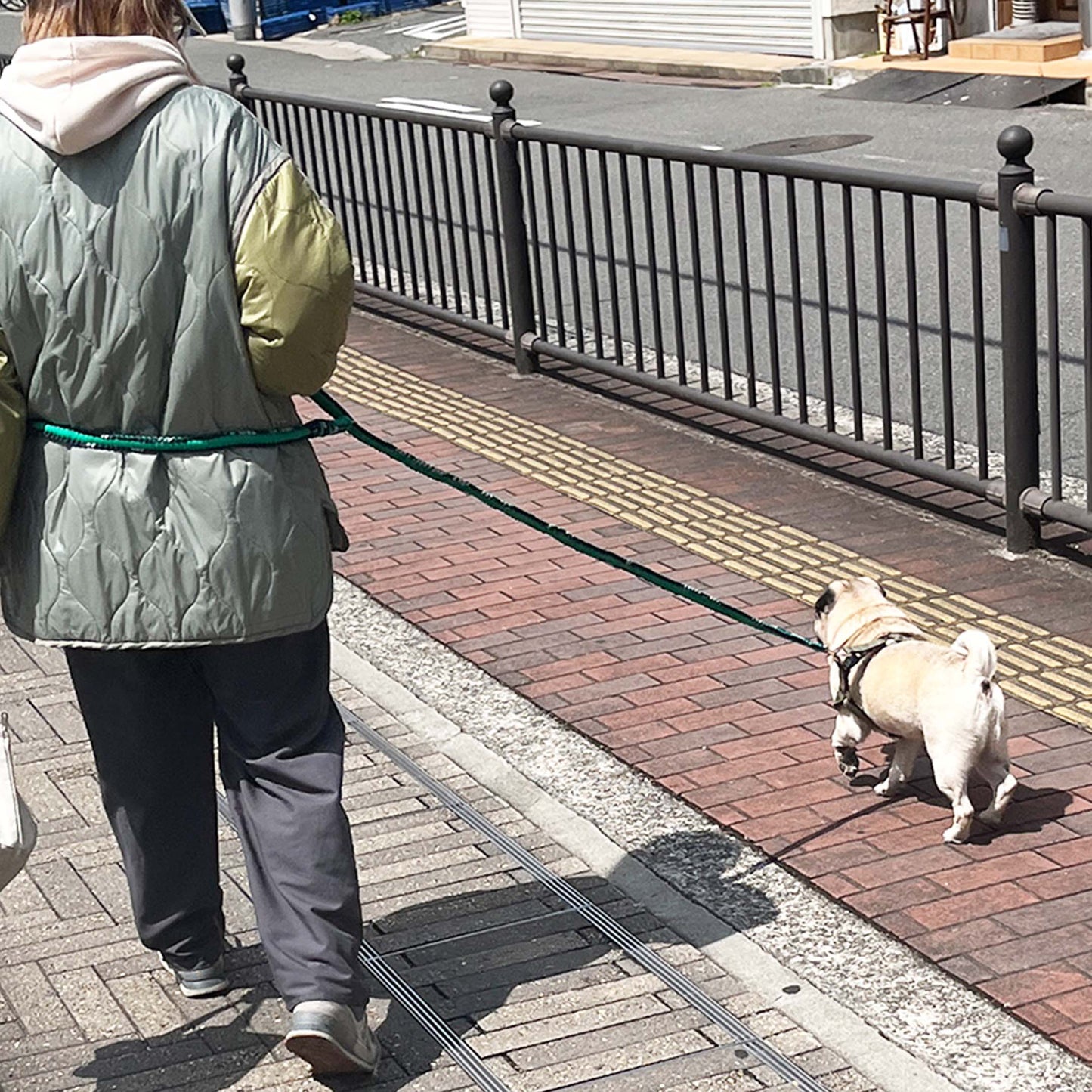 PROJECT1000 dog leash long