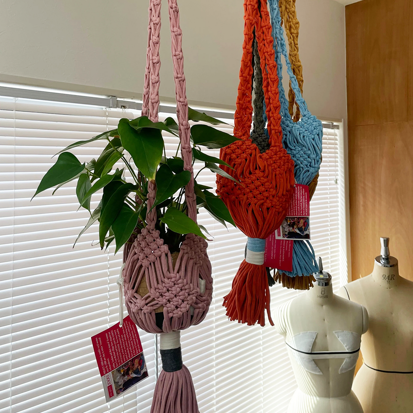 project1000 plants hanger