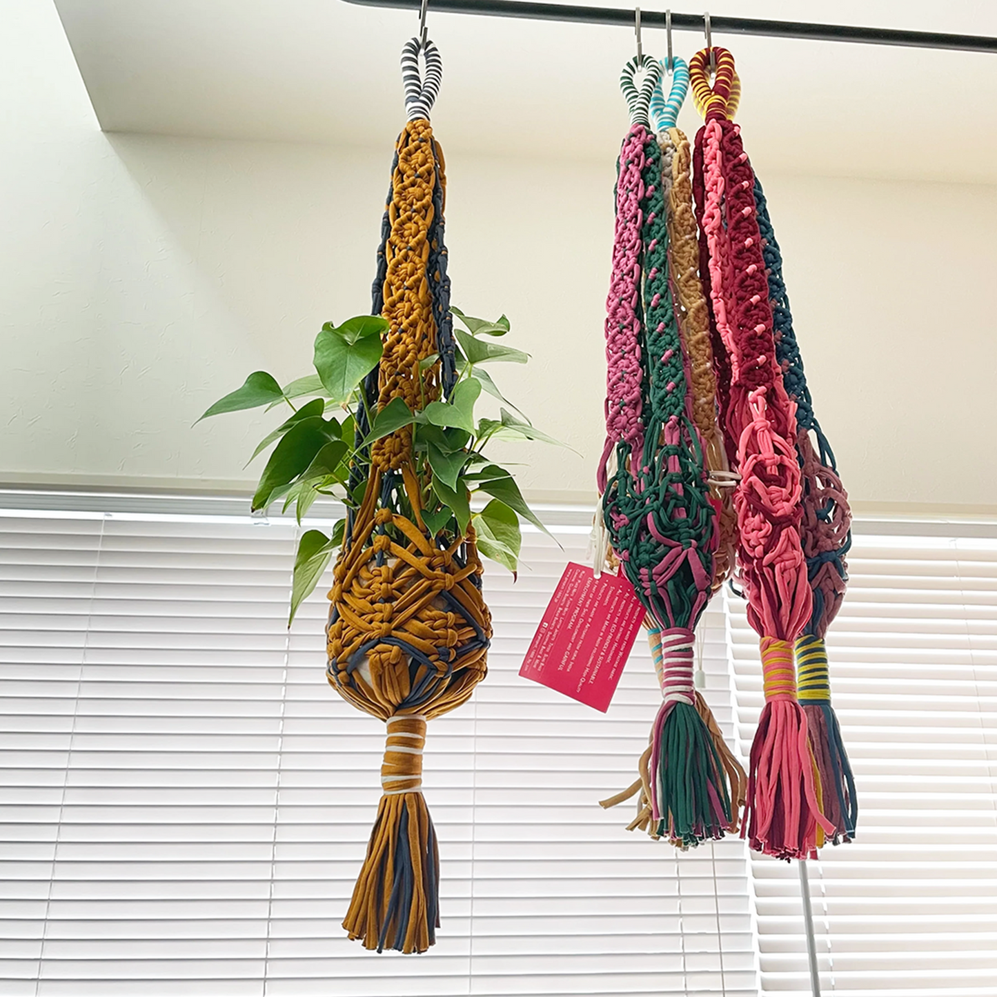 project1000 plants hanger