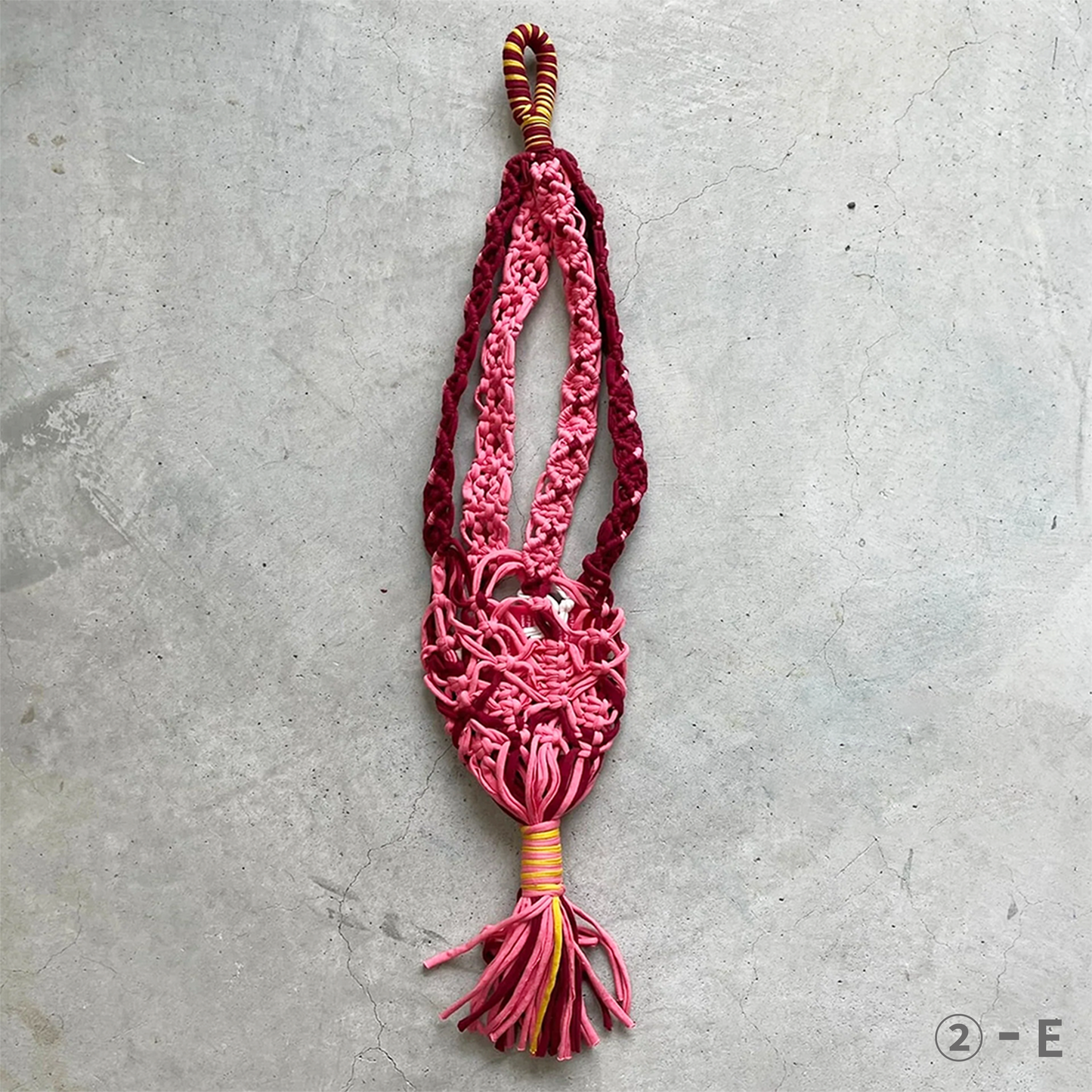 project1000 plants hanger