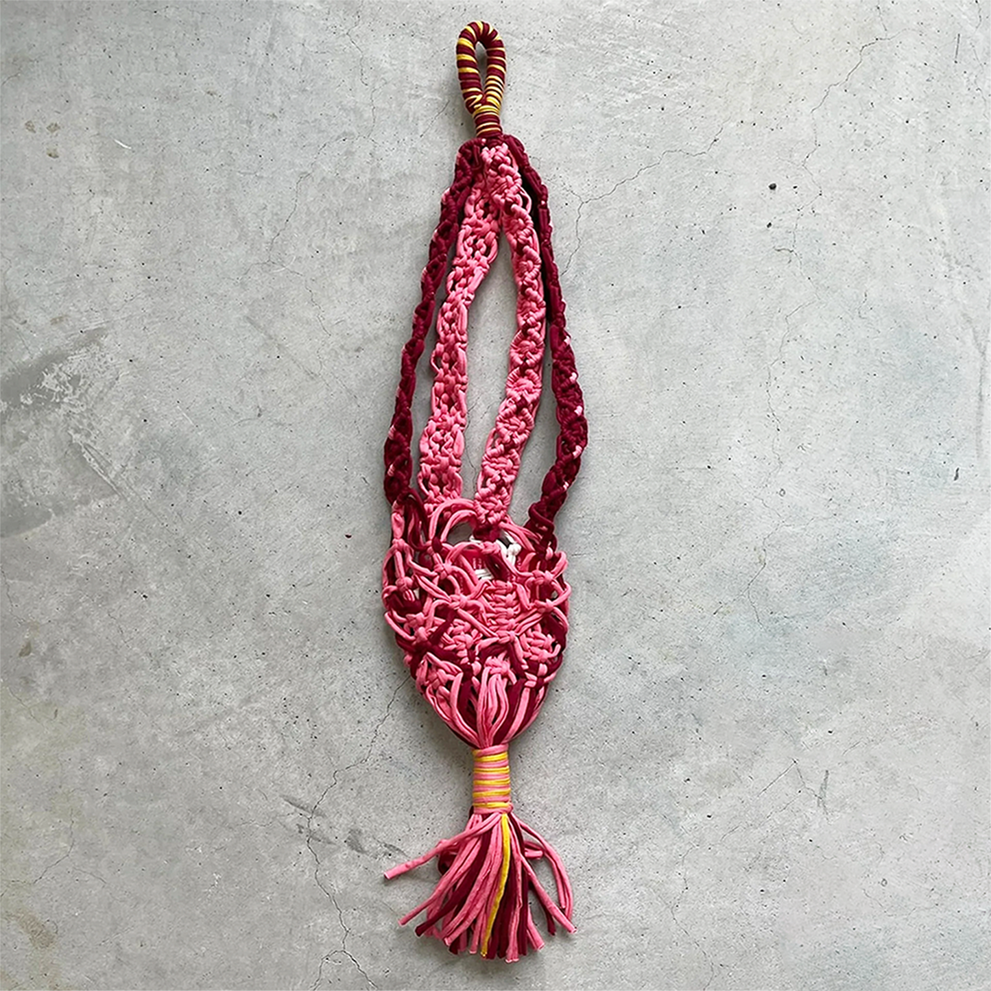 project1000 plants hanger