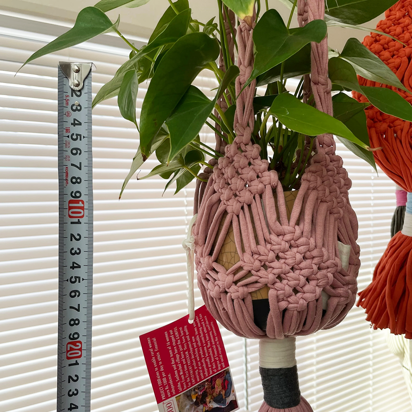 project1000 plants hanger