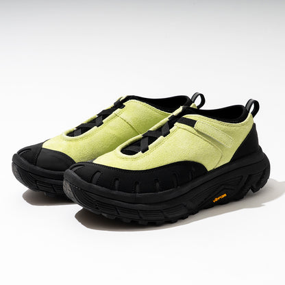 pg  LADYBUG LIME