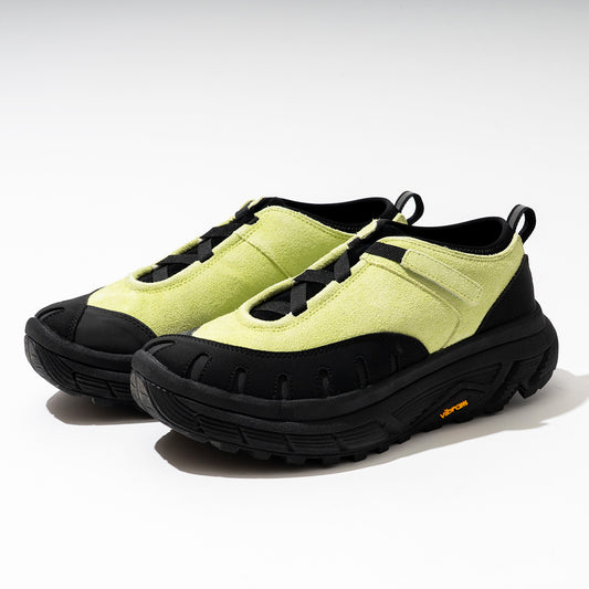 pg  LADYBUG LIME
