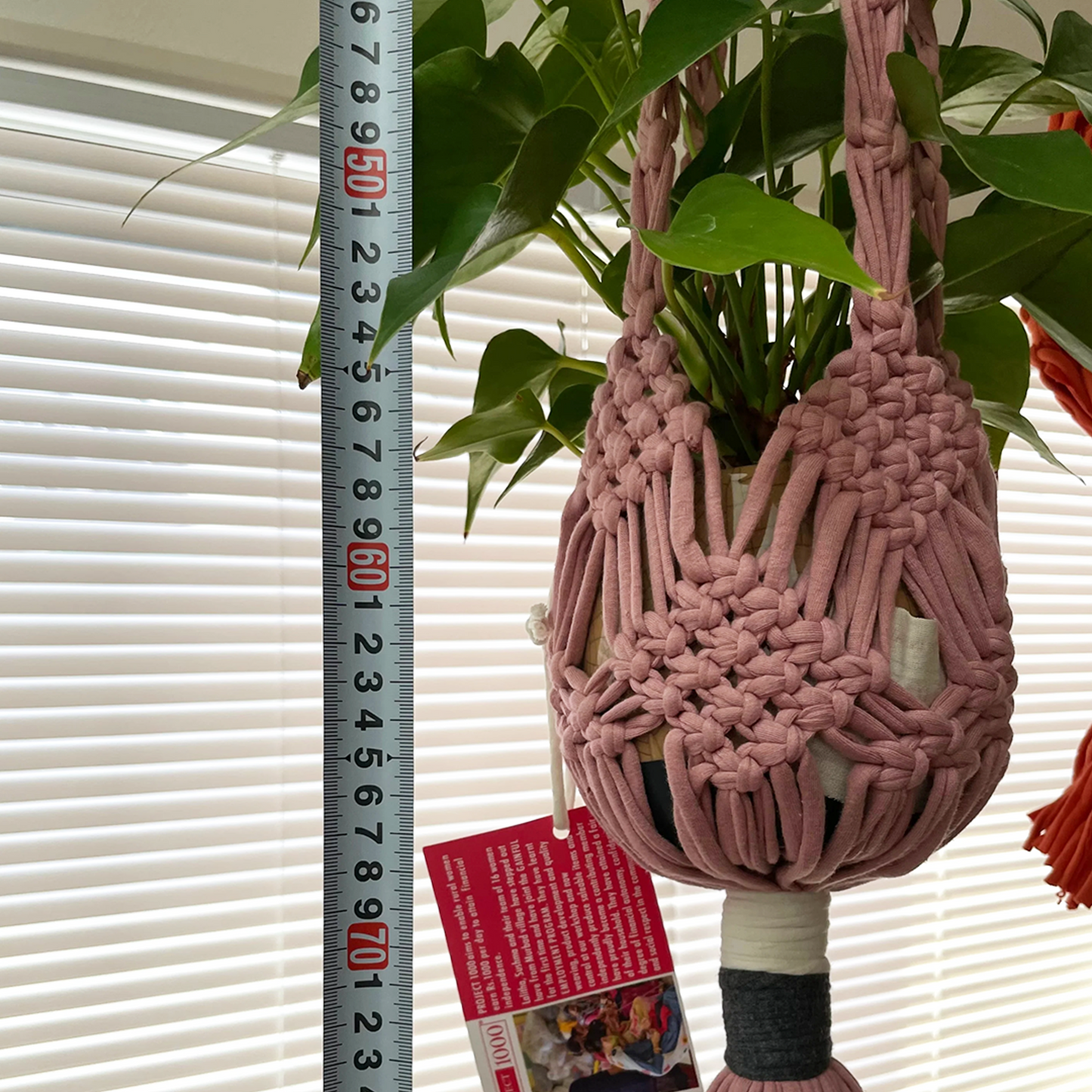 project1000 plants hanger