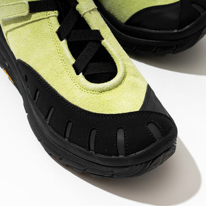 pg  LADYBUG LIME