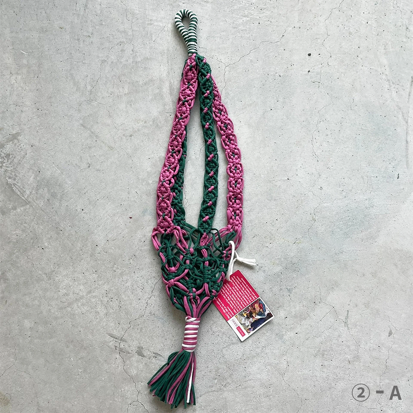 project1000 plants hanger