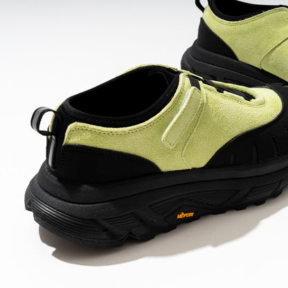 pg  LADYBUG LIME
