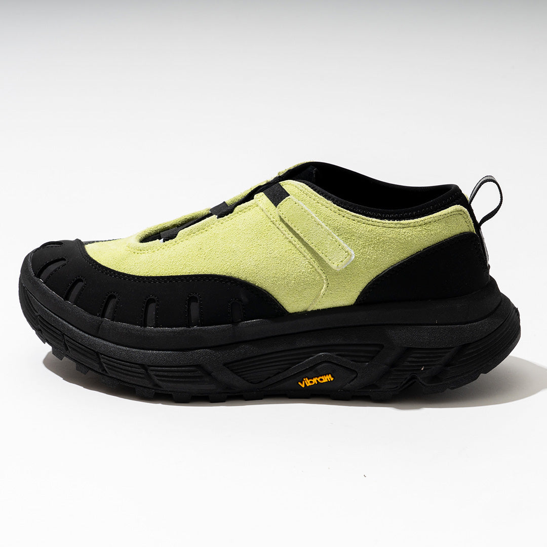 pg  LADYBUG LIME