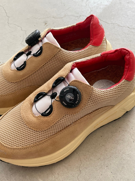 pg NEW DAWN for ladies