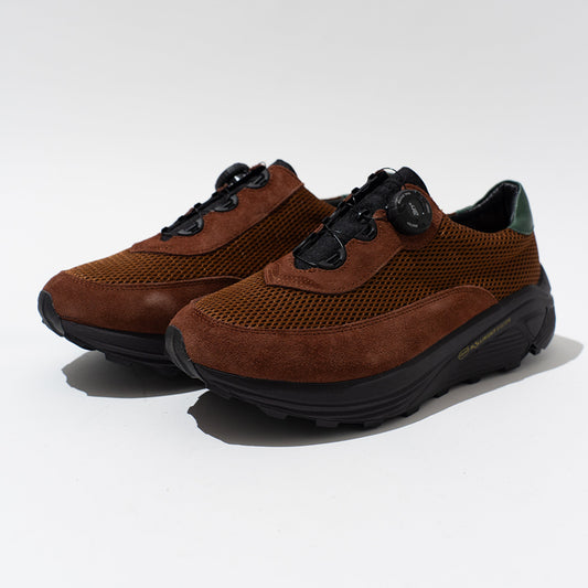 pg NEW DAWN BROWN
